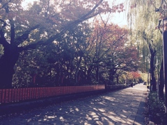 祇園の静けさ