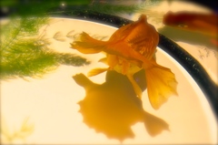 もう一つの世界