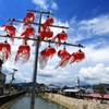 金魚注意報