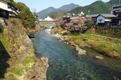 桜咲く頃に
