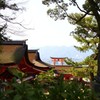 小さな大きい鳥居
