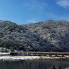 冬の渡月橋