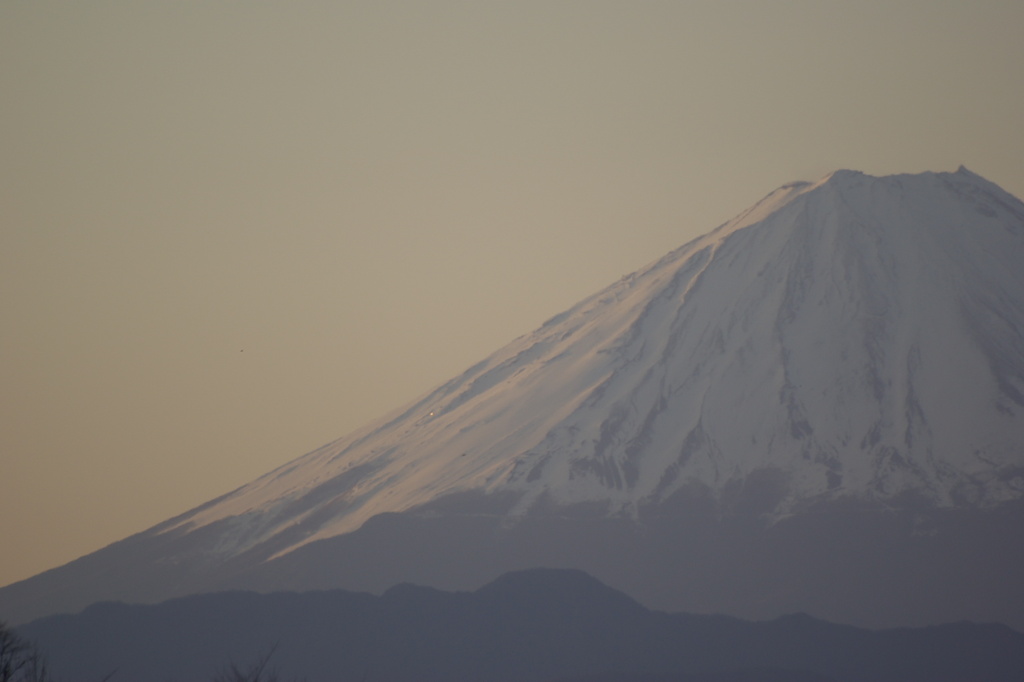 朝富士