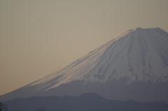 朝富士