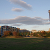 公園