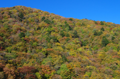 西沢渓谷 01