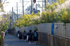 通学路