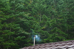 山小屋