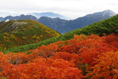 仙丈ケ岳秋その１