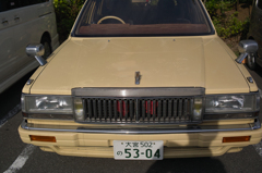 cream