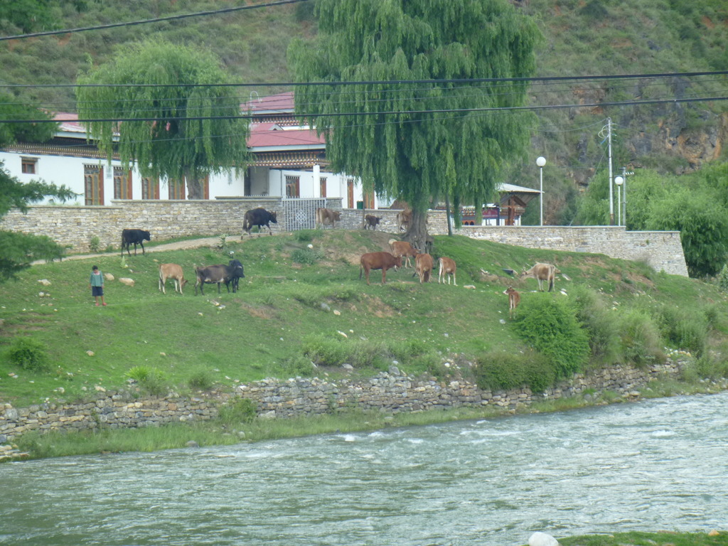 bhutan 566