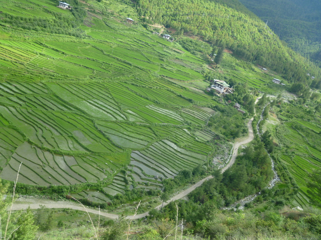 bhutan 551