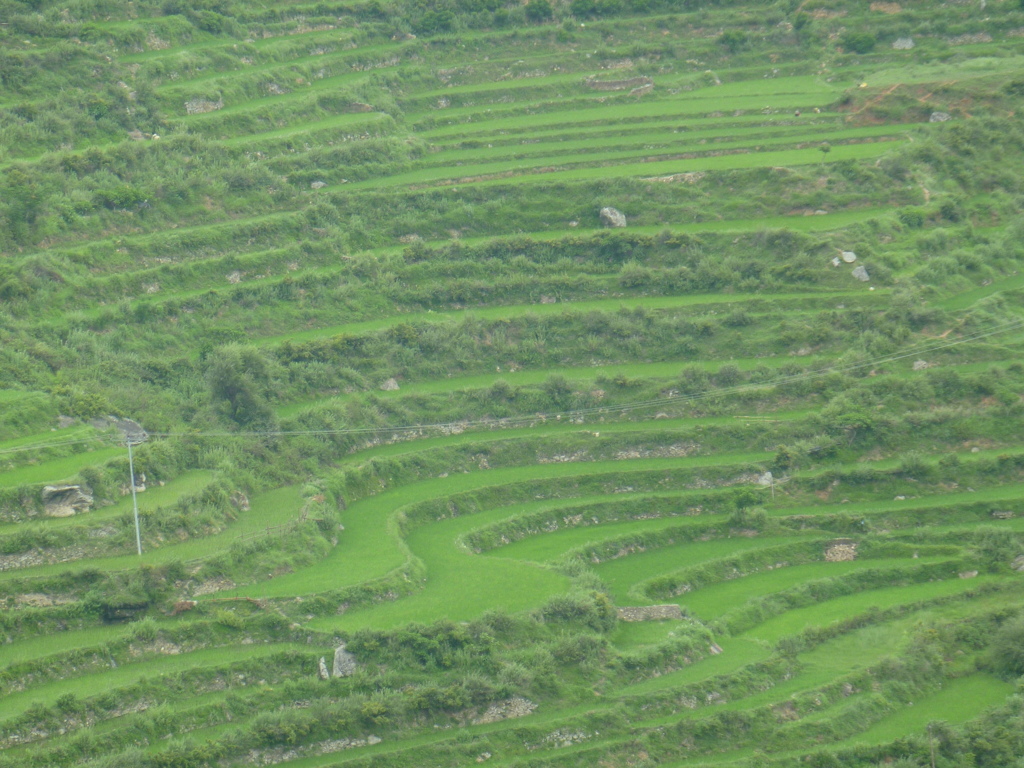 bhutan 470