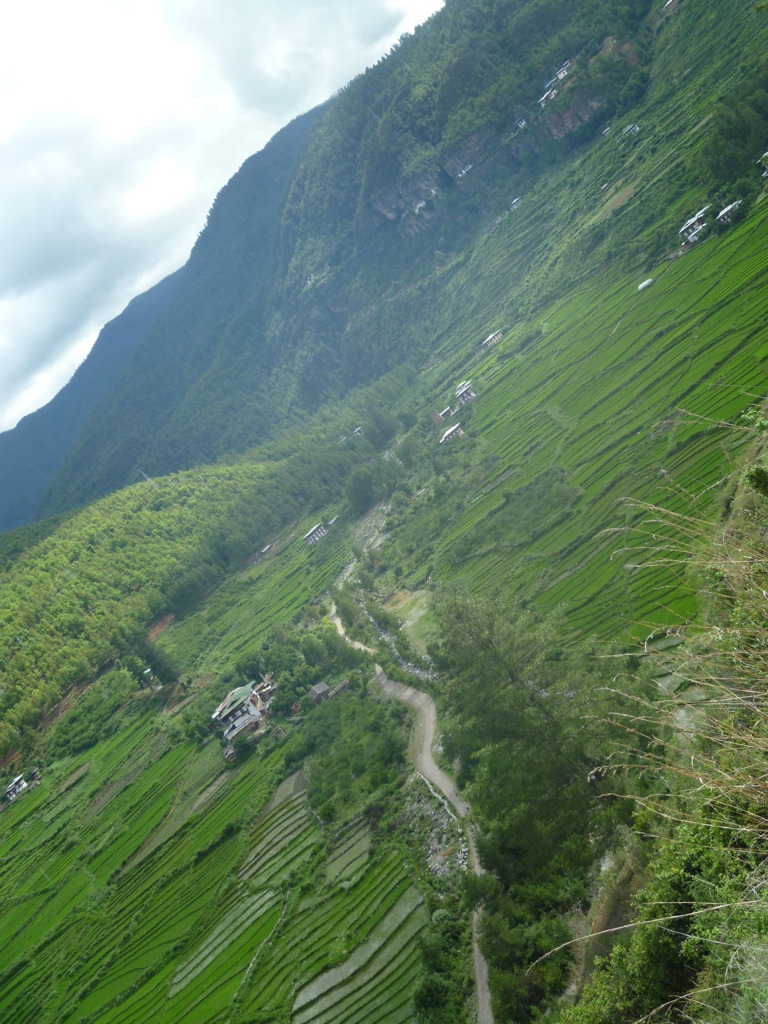 bhutan 550