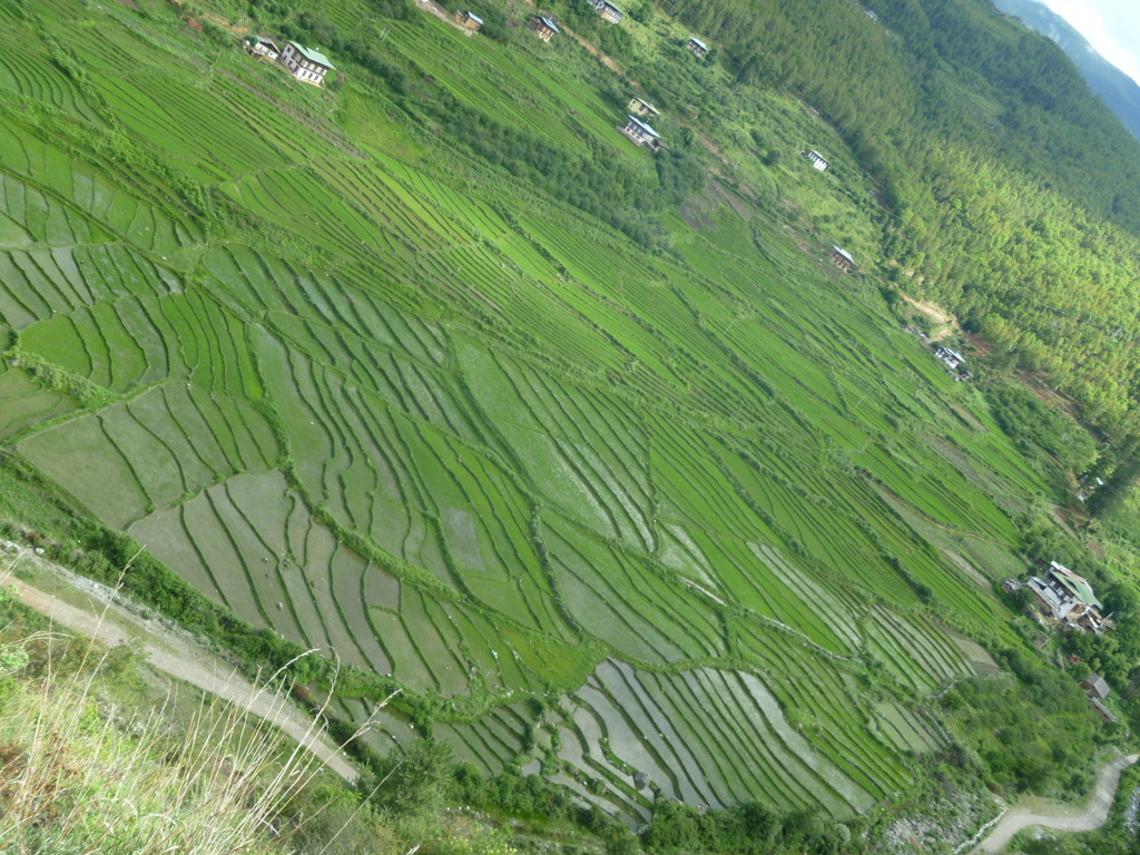 bhutan 549