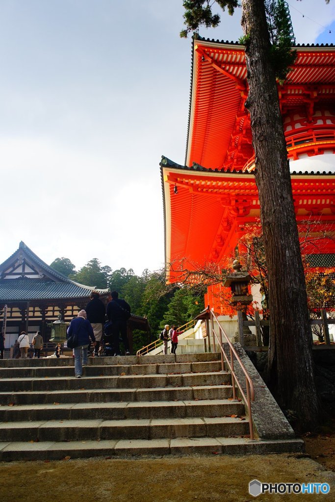 20171104_秋高野#06