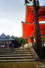 20171104_秋高野#06