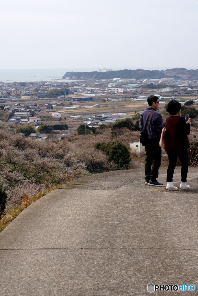 20180303_梅は咲いたか~#05