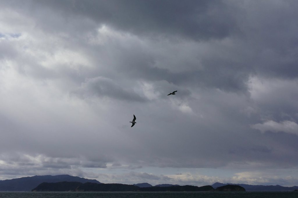 風の強い日　#2