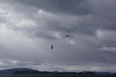 風の強い日　#2