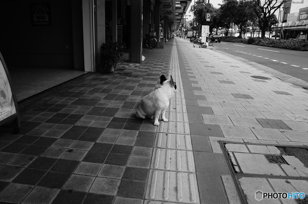 20170423_目標の無い休日#05