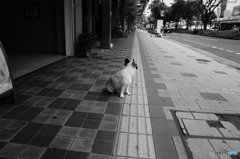 20170423_目標の無い休日#05