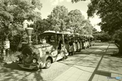 20170602_in大阪界隈#08