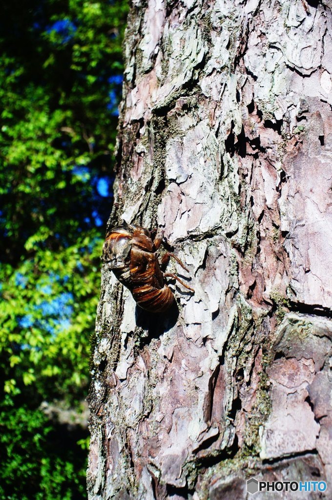 20180721_酷暑の日常#03