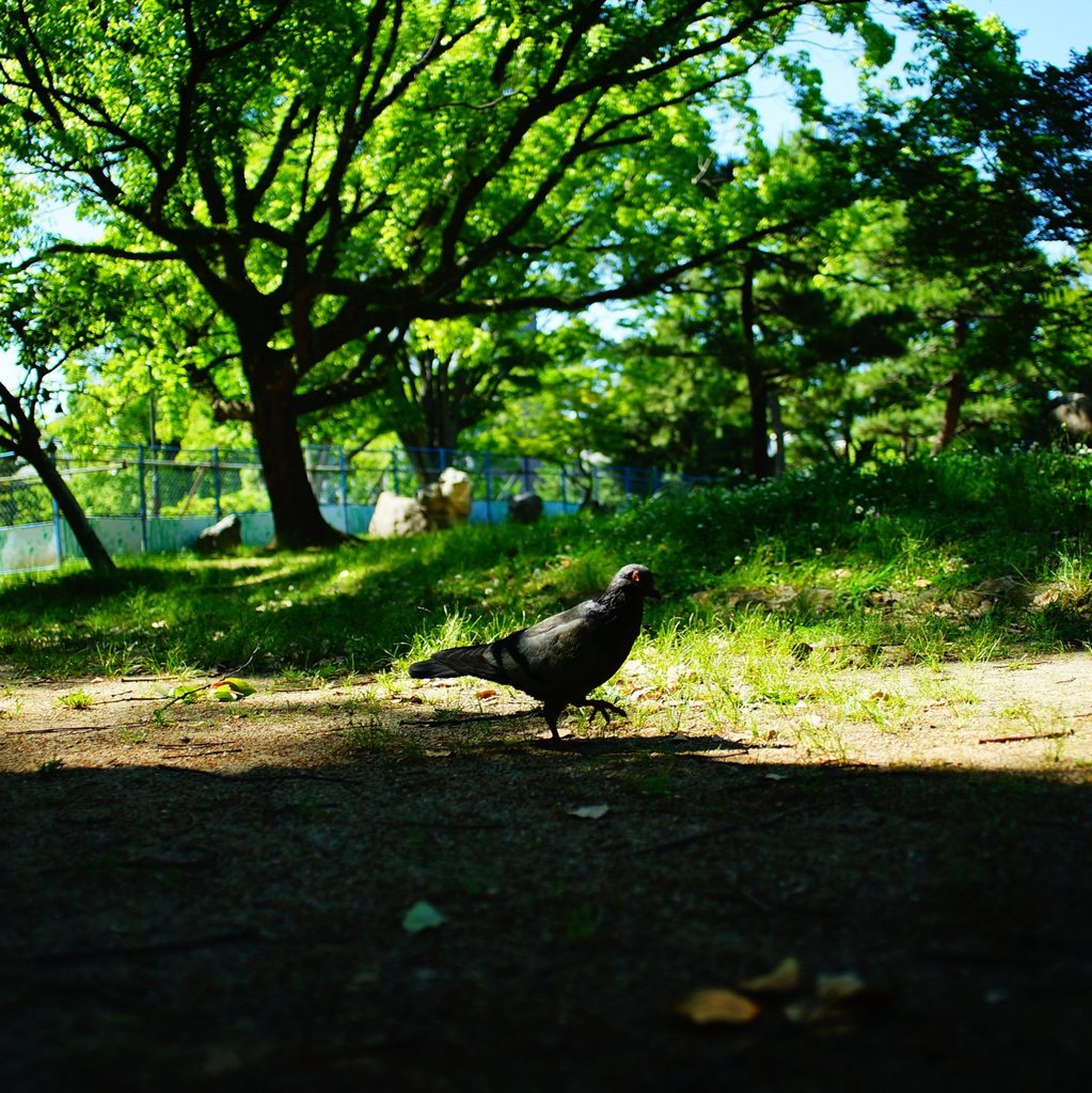 20170528_目標のない休日#09