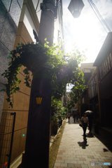 20170816_夏のある日#04