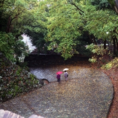 試写 YASHICA Electro 35GT#05