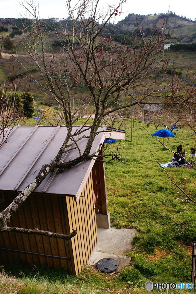 20170205_立春の頃#02