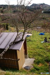 20170205_立春の頃#02