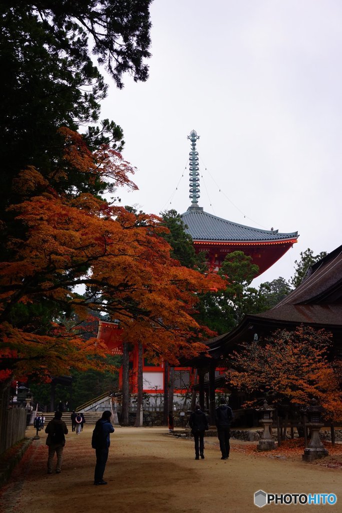 20171104_秋高野#03