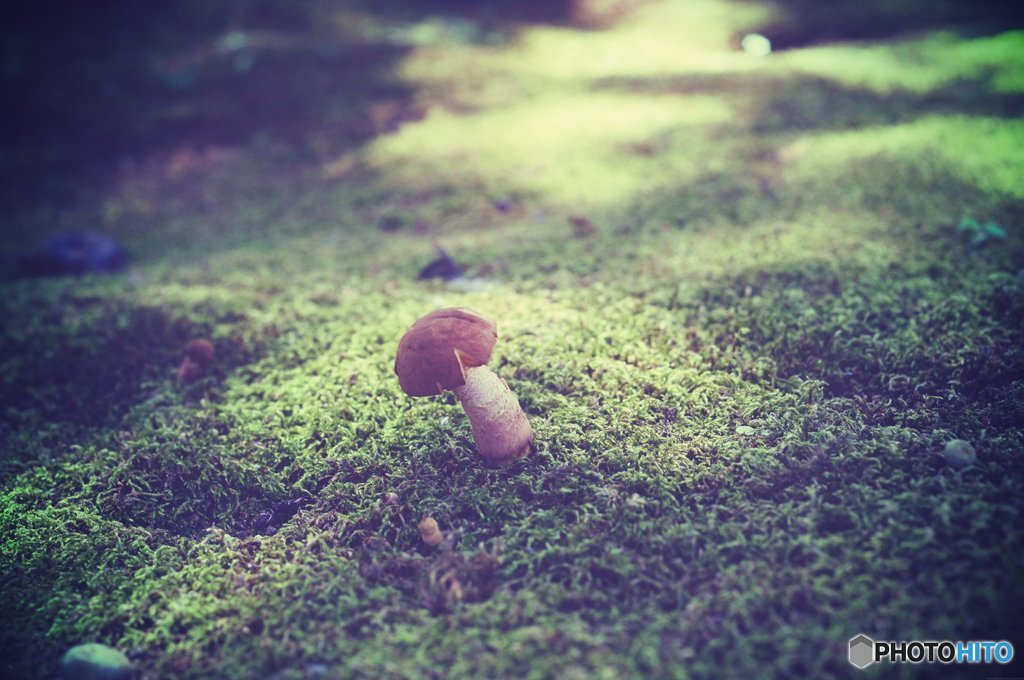 20170827_夏の残#02