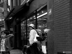 20221122#01 20221122#01