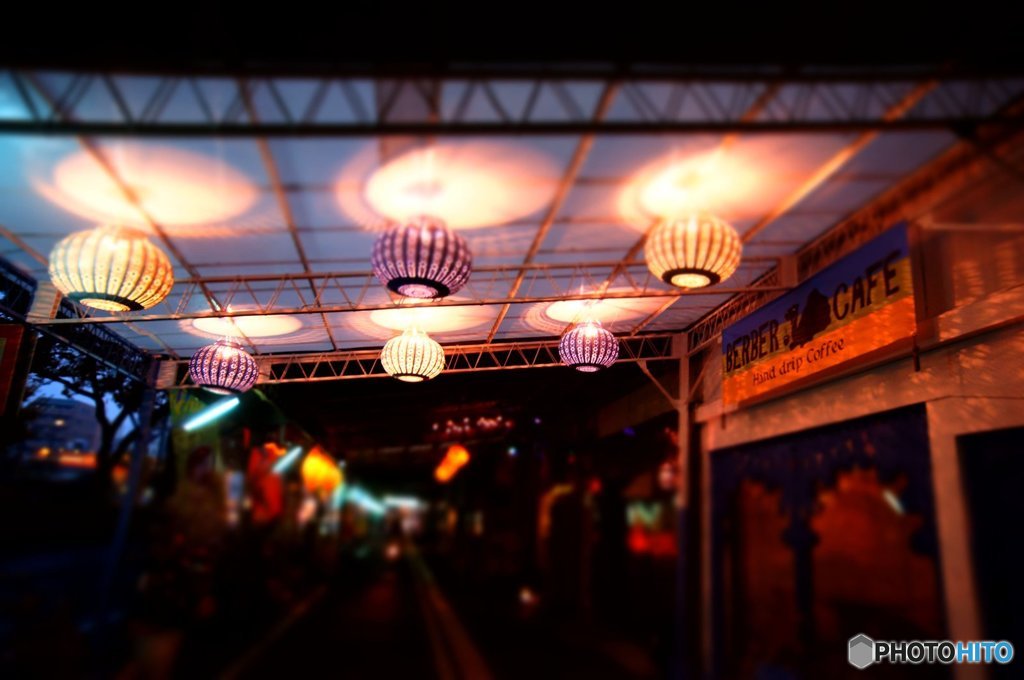 20161029_秋→冬#09