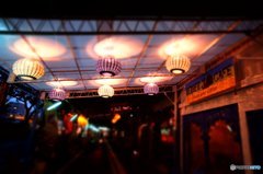 20161029_秋→冬#09