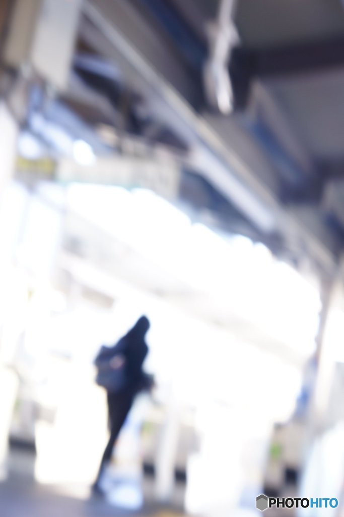 20171009_亜熱帯な秋#08