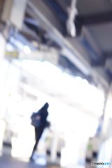 20171009_亜熱帯な秋#08