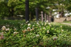 20150524_no_title_#07