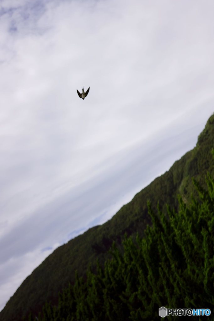 20150712_夏・が・き・た#10