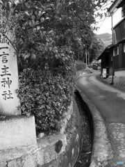 20190102_一言主神社#01