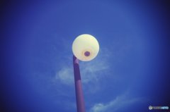 20170827_夏の残#09