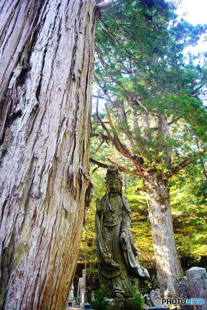 20171104_秋高野#08