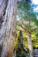 20171104_秋高野#08