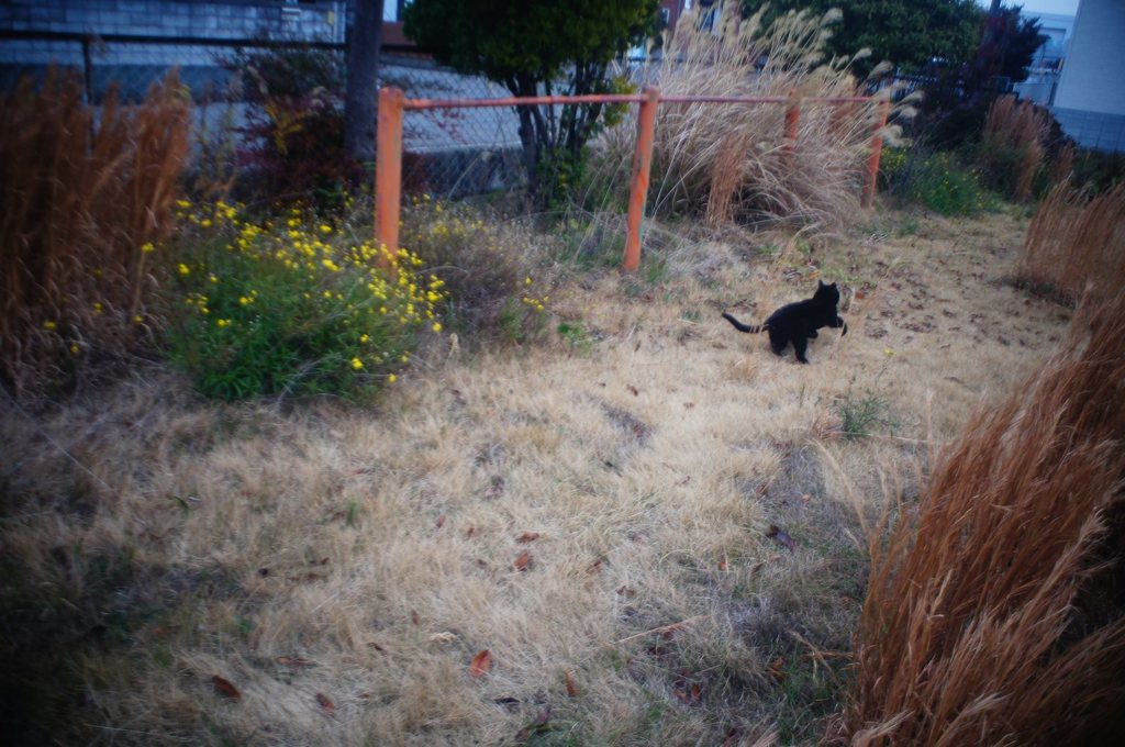 20180212_寒い日#03