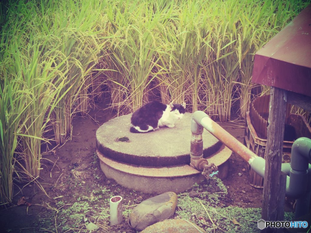 20170923_...も彼岸まで#07