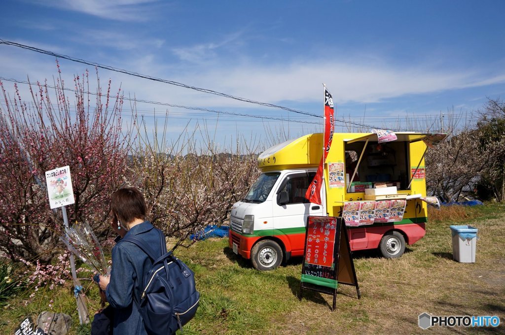 20180303_梅は咲いたか~#01