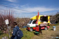 20180303_梅は咲いたか~#01